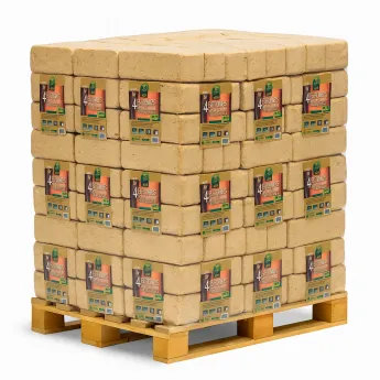 Briques Forestières Planète Terre