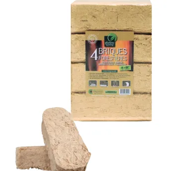 Briques Forestières Planète Terre