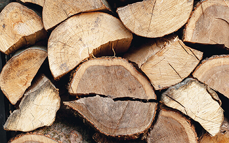 Bûches bois